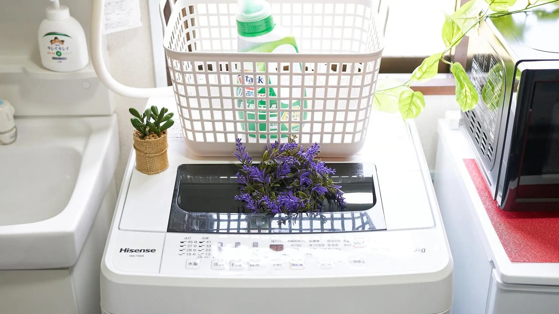 Sc Umejima 203 Apartment Tokyo