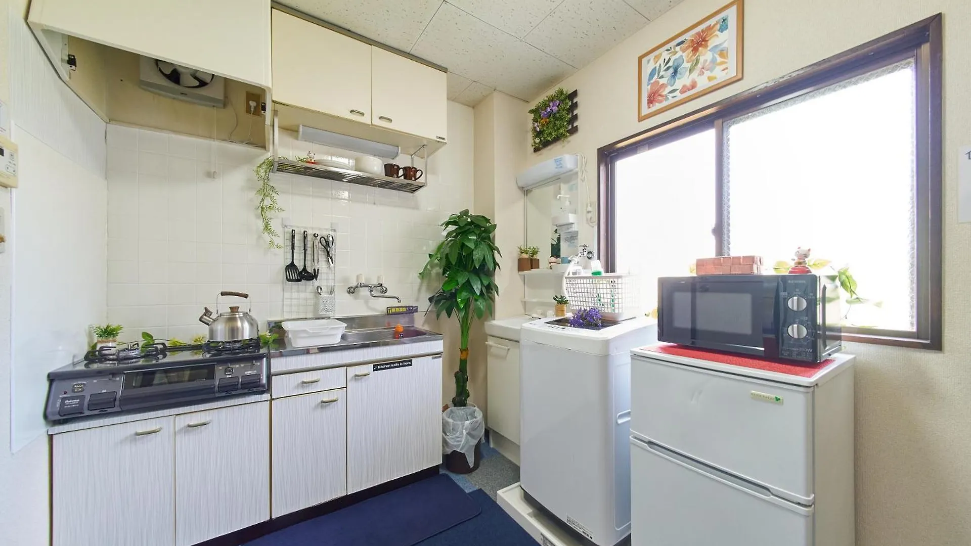 Sc Umejima 203 Apartment Tokyo